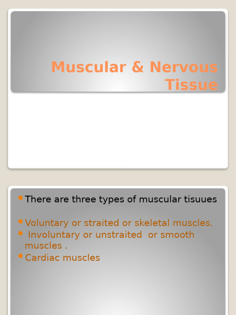 Types of Muscular and Nervous Tissue | PDF