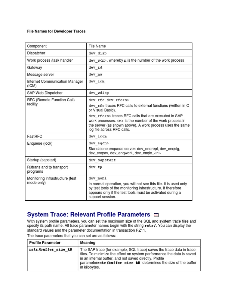 SAP Developer and System Trace Files Guide | PDF | Filename | Computer File