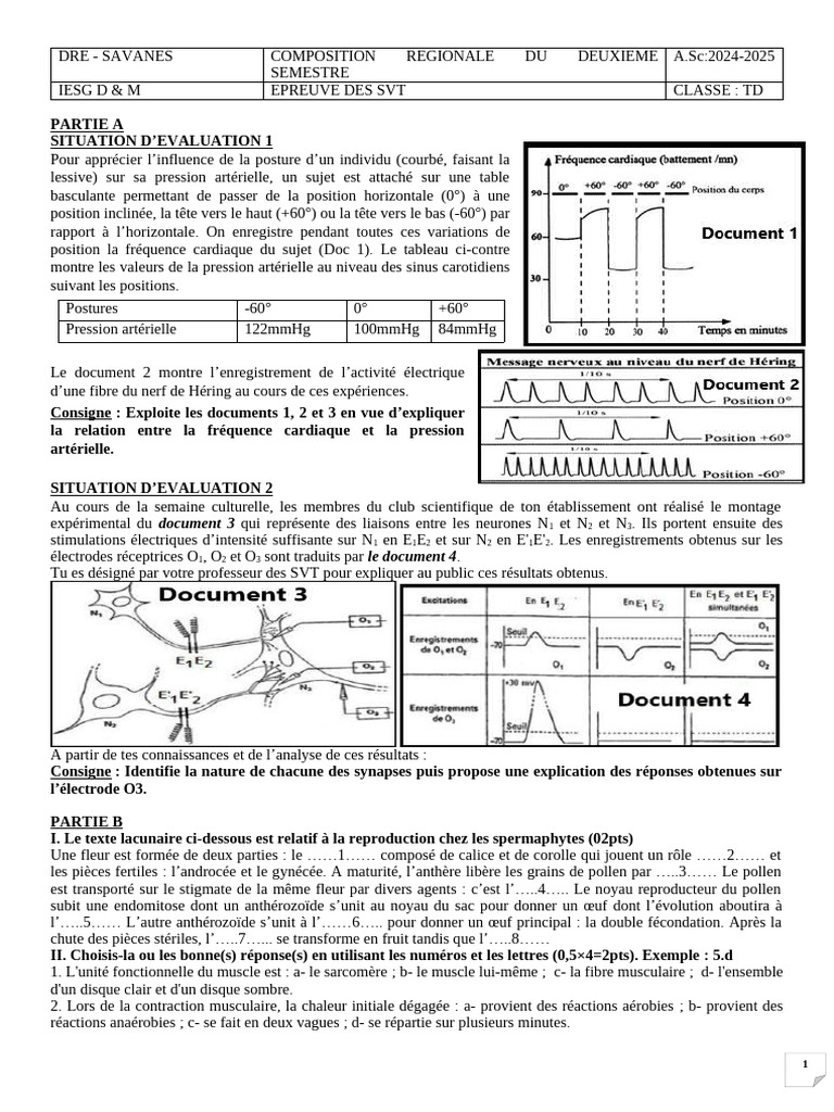 Évaluation SVT : Postures et Reproduction | PDF | Muscle | Lymphocyte