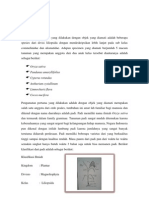 Download Pembahasan_commelinidae Dan Alismatidae by Lia Lutfiah SN92369257 doc pdf