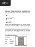 Download Pembahasan_commelinidae Dan Alismatidae by Lia Lutfiah SN92369257 doc pdf