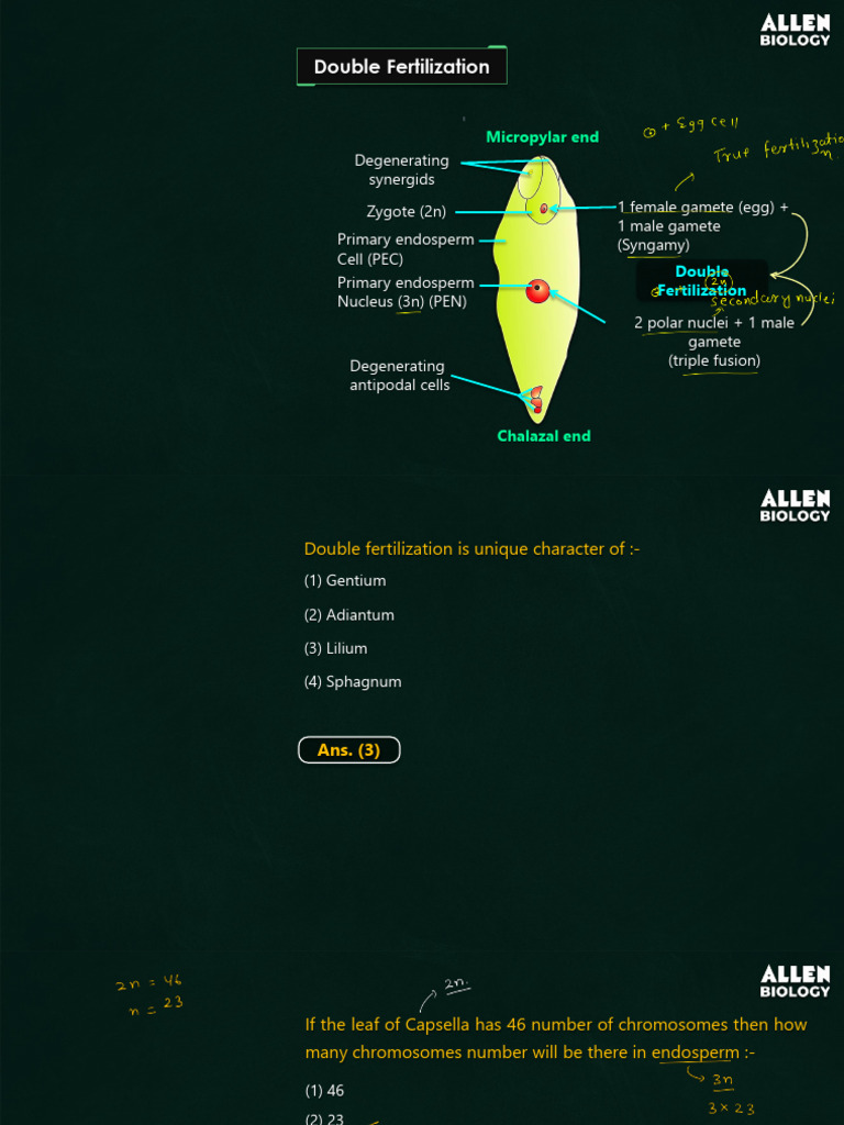 1 - Sexual Reproduction in Flowering Plants-09-01 | PDF | Fertilisation ...