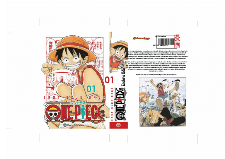 One Piece Tomo 1 | PDF
