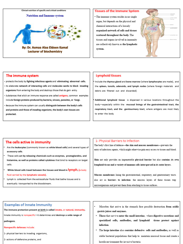 Immune System Nutrition Insights | PDF | Immune System | Phagocyte
