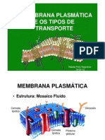 Membrana Plasmática - 19-04 [Modo de Compatibilidade]