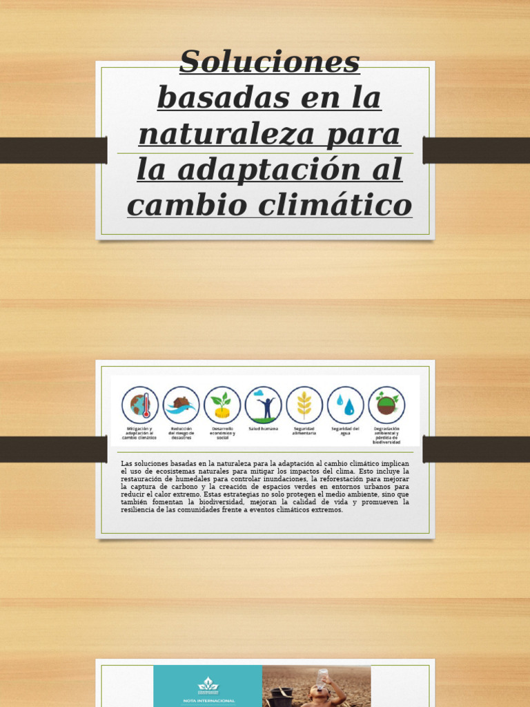 Soluciones Basadas en La Naturaleza para La Adaptación | PDF