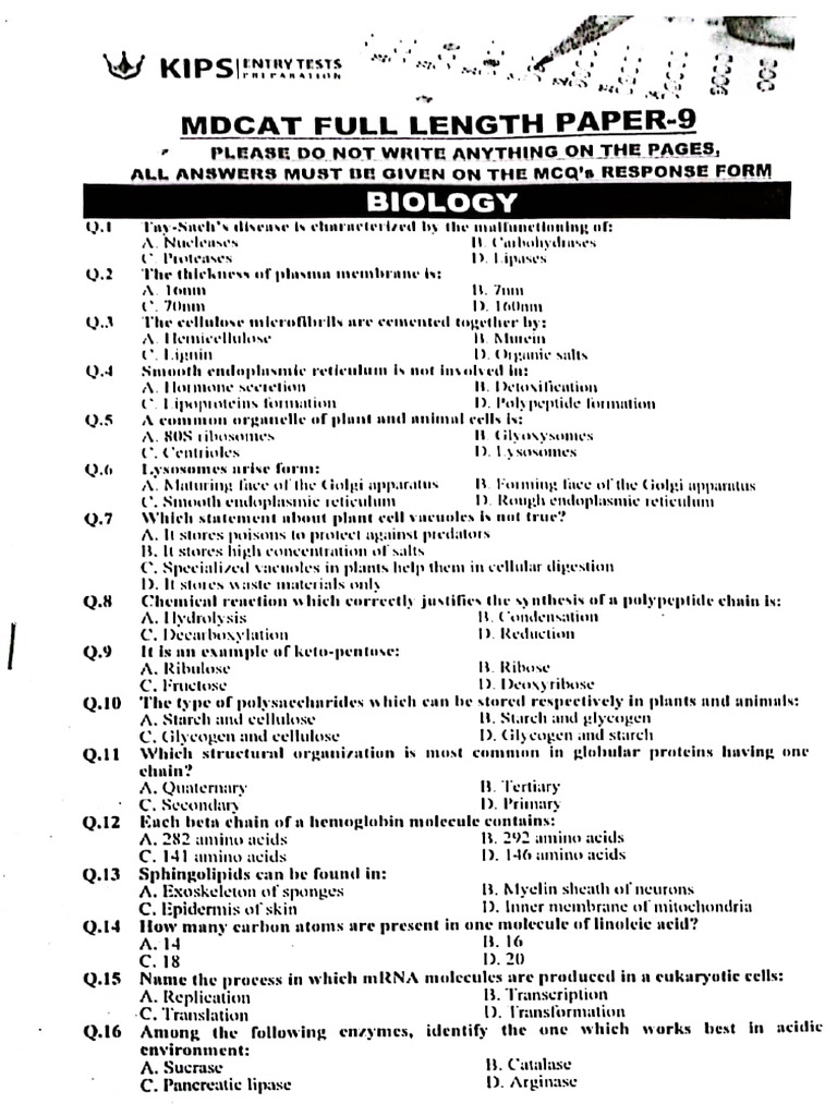 9 FLP 3 KIPS 2023 + Key | PDF