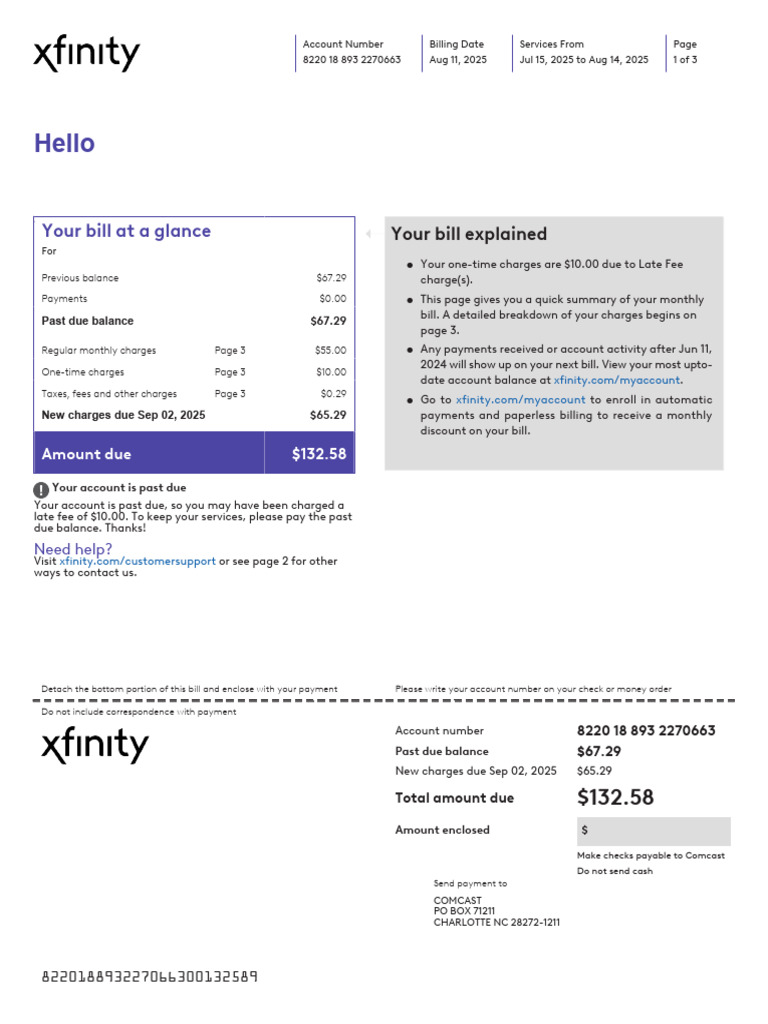 Xfinity Bill Summary and Charges | PDF | Fee | Services (Economics)