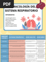 Rinofed Plus NF: Composición y Usos | PDF | Resfriado comun | Medicina ...