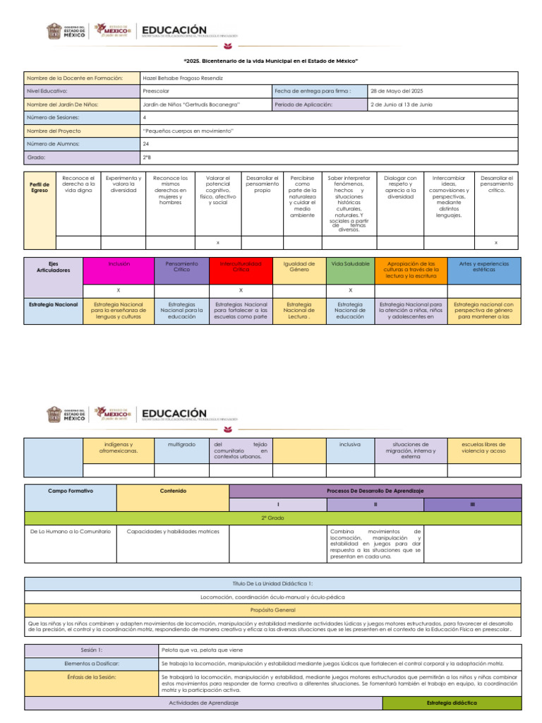 Planificacion E.F Segundo | PDF | Educación de la primera infancia ...