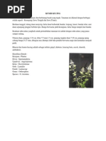 Download KUMIS KUCING by Adit Pradana SN92375109 doc pdf