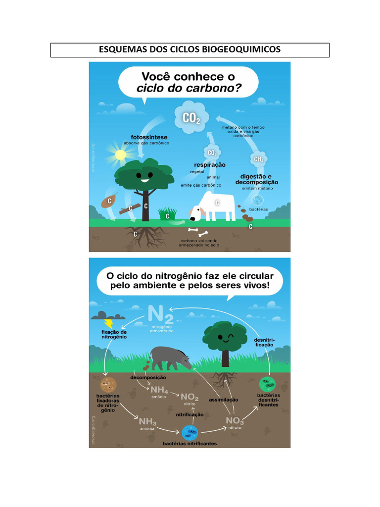 Esquemas Dos Ciclos Biogeoquimicos | PDF