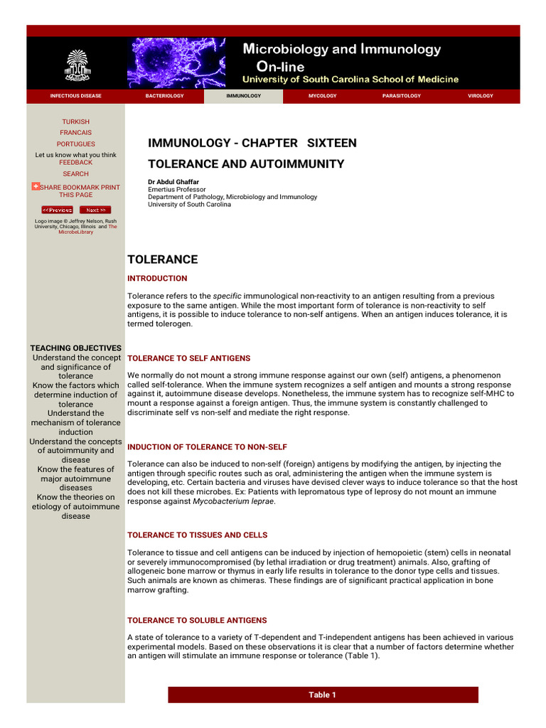 Tolerance and Autoimmunity-1 | PDF | Immune Tolerance | T Cell