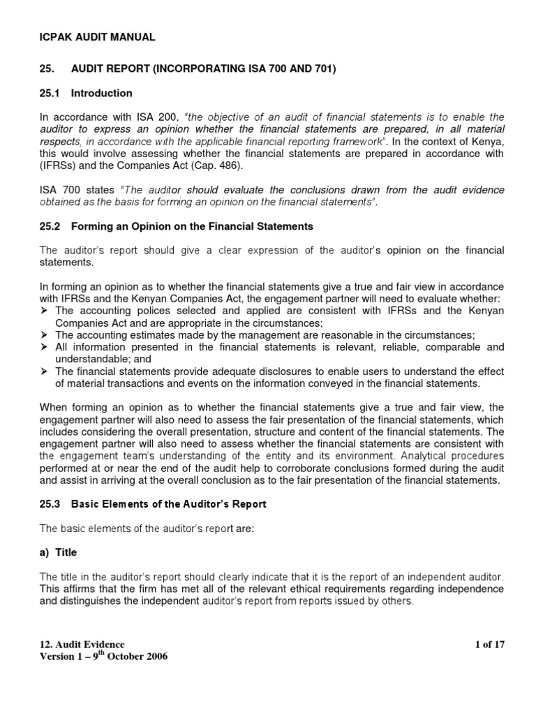 Auditors Reports | Financial Audit | Auditor's Report