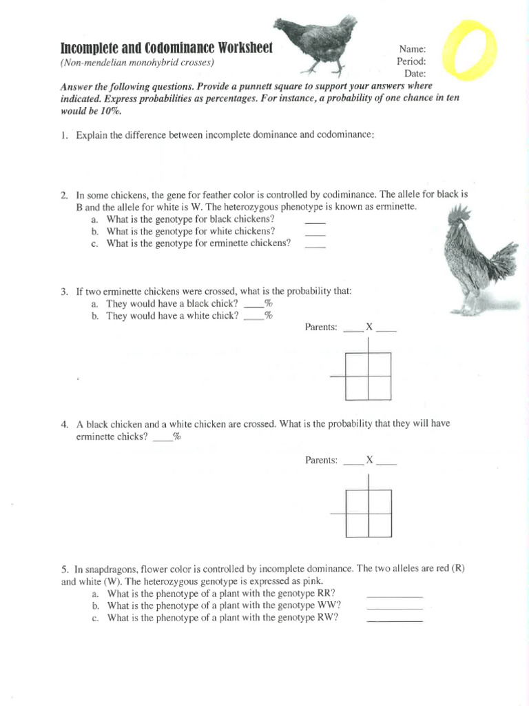 9.2 Incomplete - Codominance WS 3 | PDF
