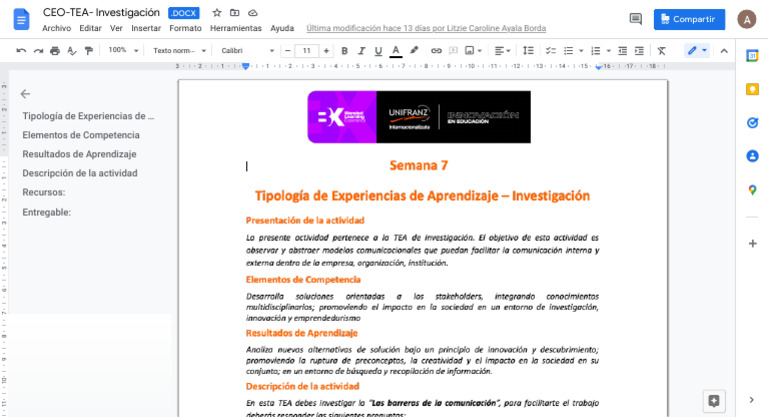 CEO-TEA - Investigación.docx - Documentos de Google | PDF