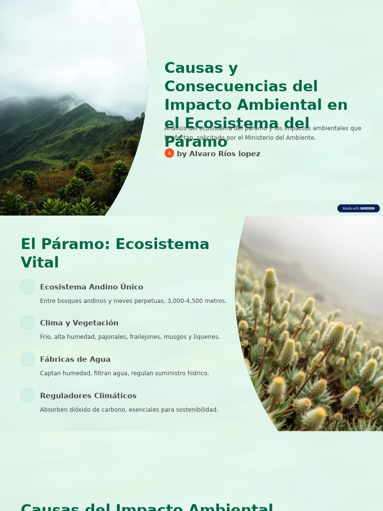 Causas y Consecuencias Del Impacto Ambiental en El Ecosistema Del ...
