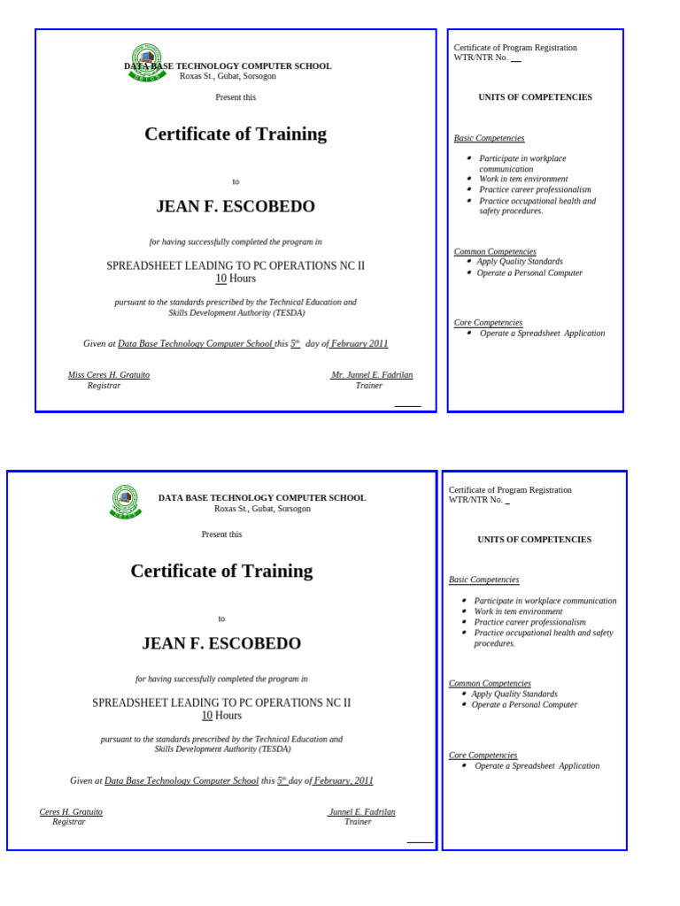 Certificate of Training | PDF | Secondary Sector Of The Economy | Business