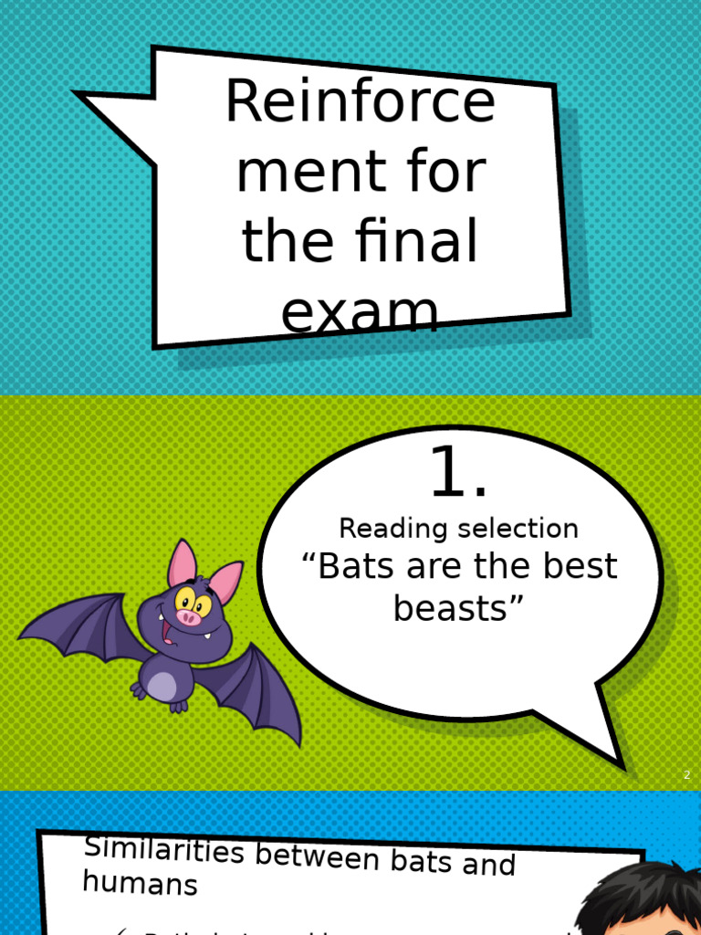 Reinforcement For The Final Exam | PDF | Bat | Linguistic Morphology