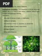 Understanding Forest Stratification Layers | PDF | Canopy (Biology) | Trees