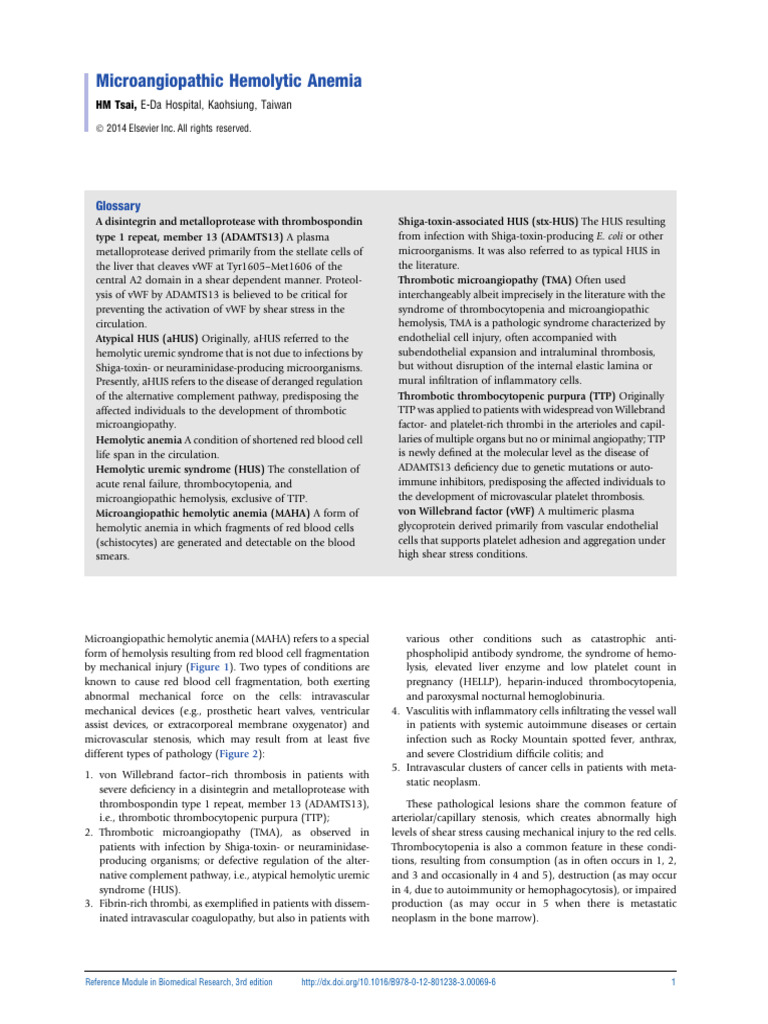 Microangiopathic Hemolytic Anemia 2014 | PDF | Clinical Medicine | Anatomy