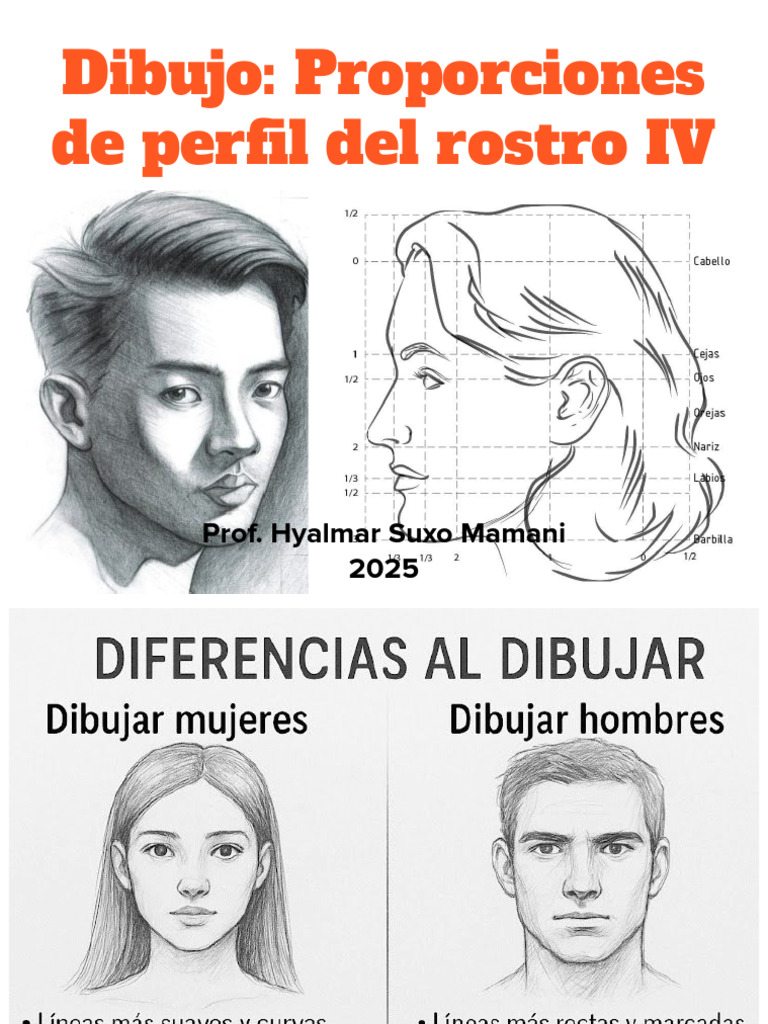 Dibujo - Proporciones de Perfil Del Rostro IV 2025 | PDF