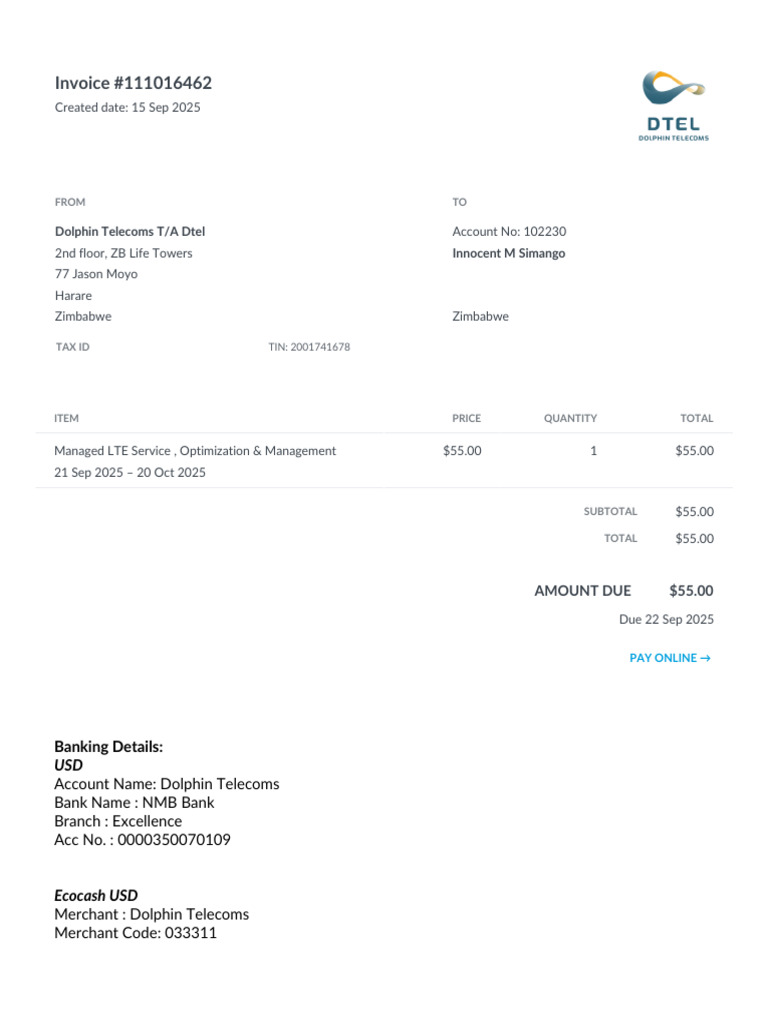 Invoice for Managed LTE Service | PDF