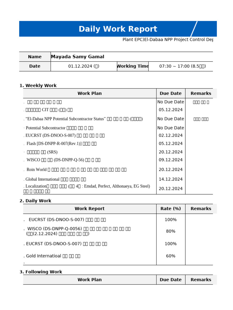 24.12 Daily Work Report Mayada | PDF