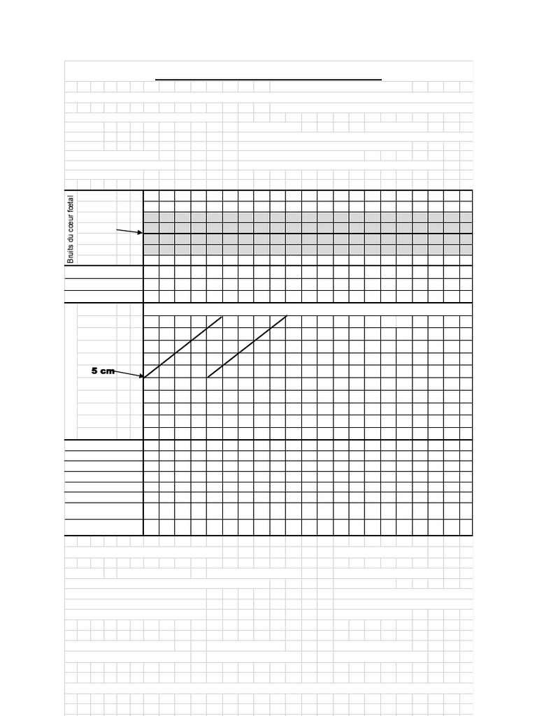 Nouveau Partogramme OMS 2024 | PDF | Accouchement | Santé maternelle