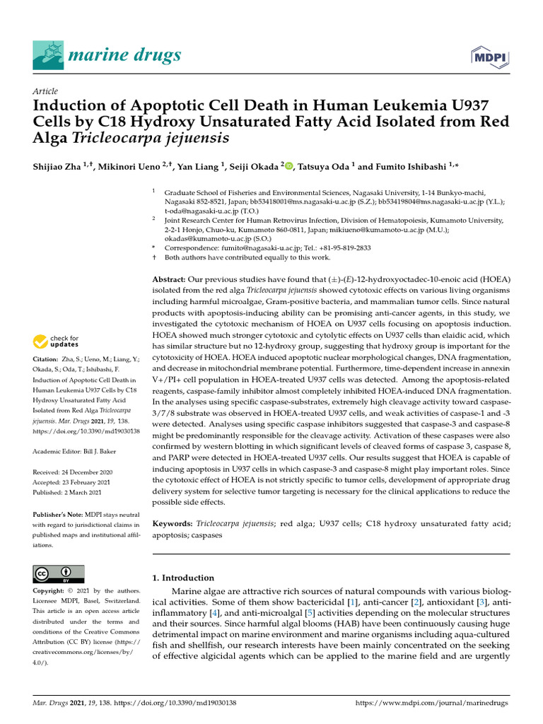 Apoptosis Induction by HOEA in U937 Cells | PDF | Chemotherapy | Apoptosis