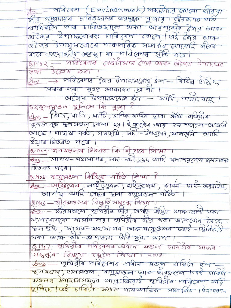 Document Structure Overview | PDF