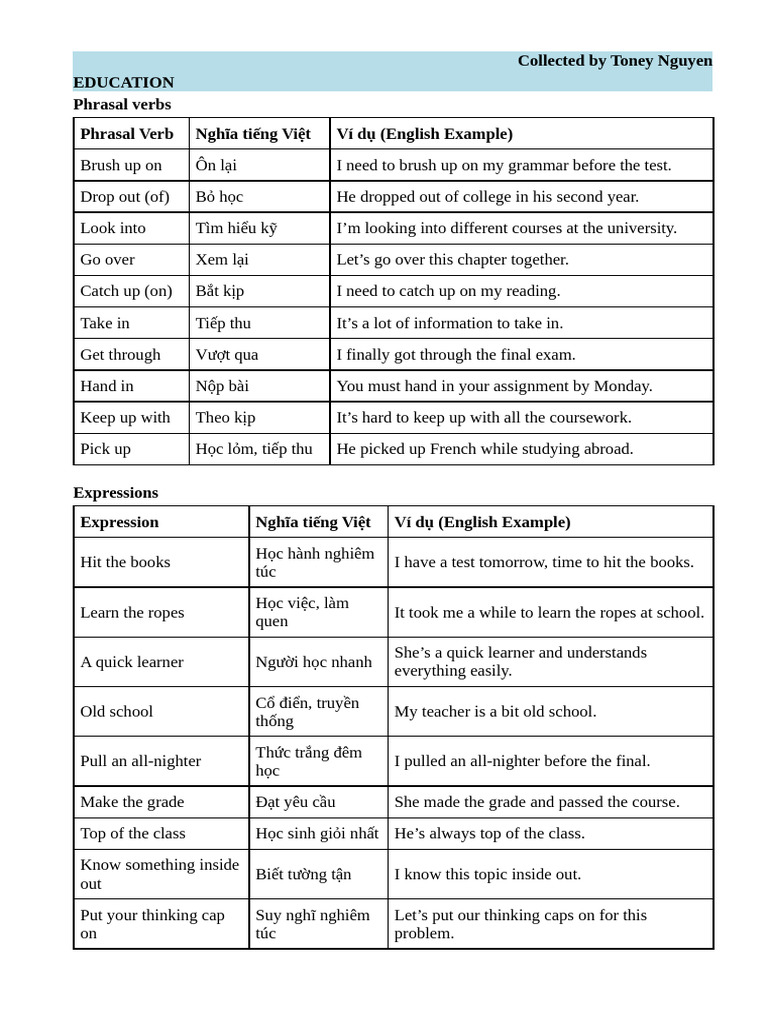 Phrasal Verbs & Expressions For 7.0 Speaking Vocabs Education | PDF ...
