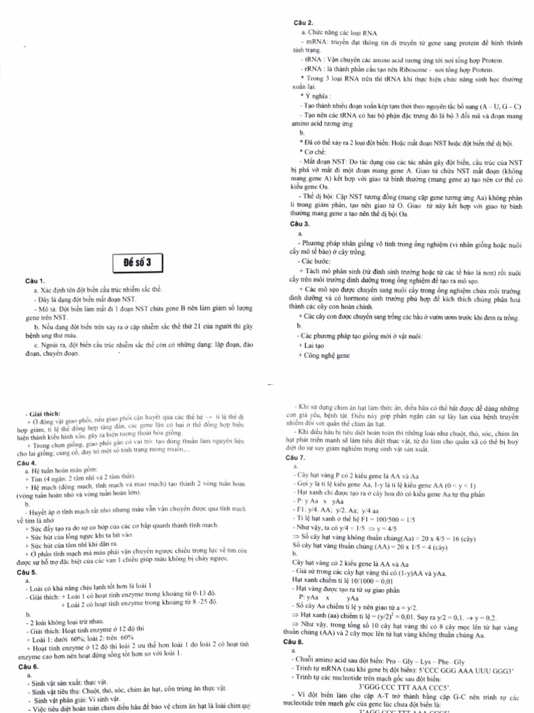 Đề tự luyện HSG 03 | PDF