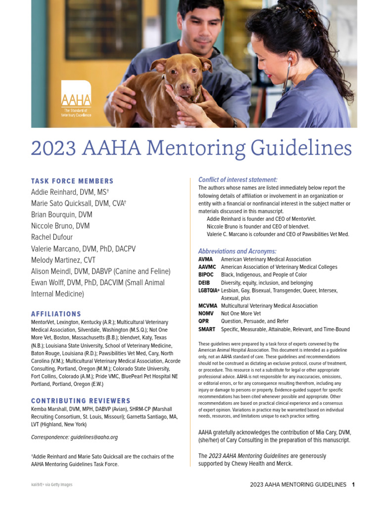 2023 Aaha Mentoring Guidelines New | PDF | Mentorship | Employee Retention