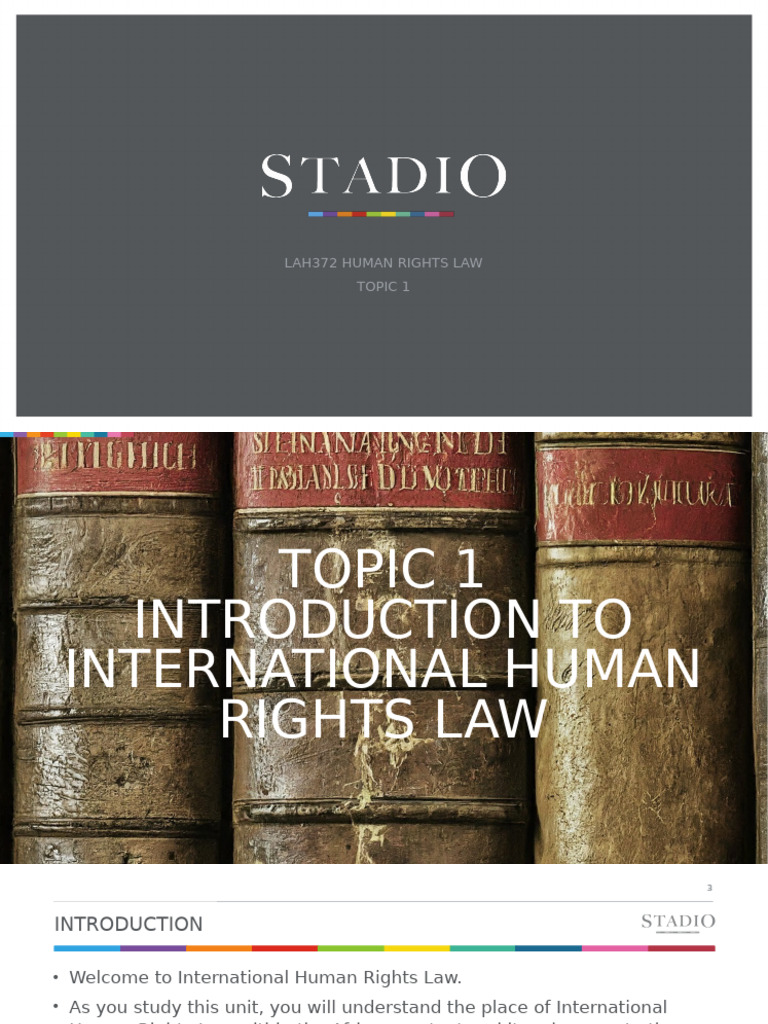 Introduction to International Human Rights Law | PDF | Human Rights ...
