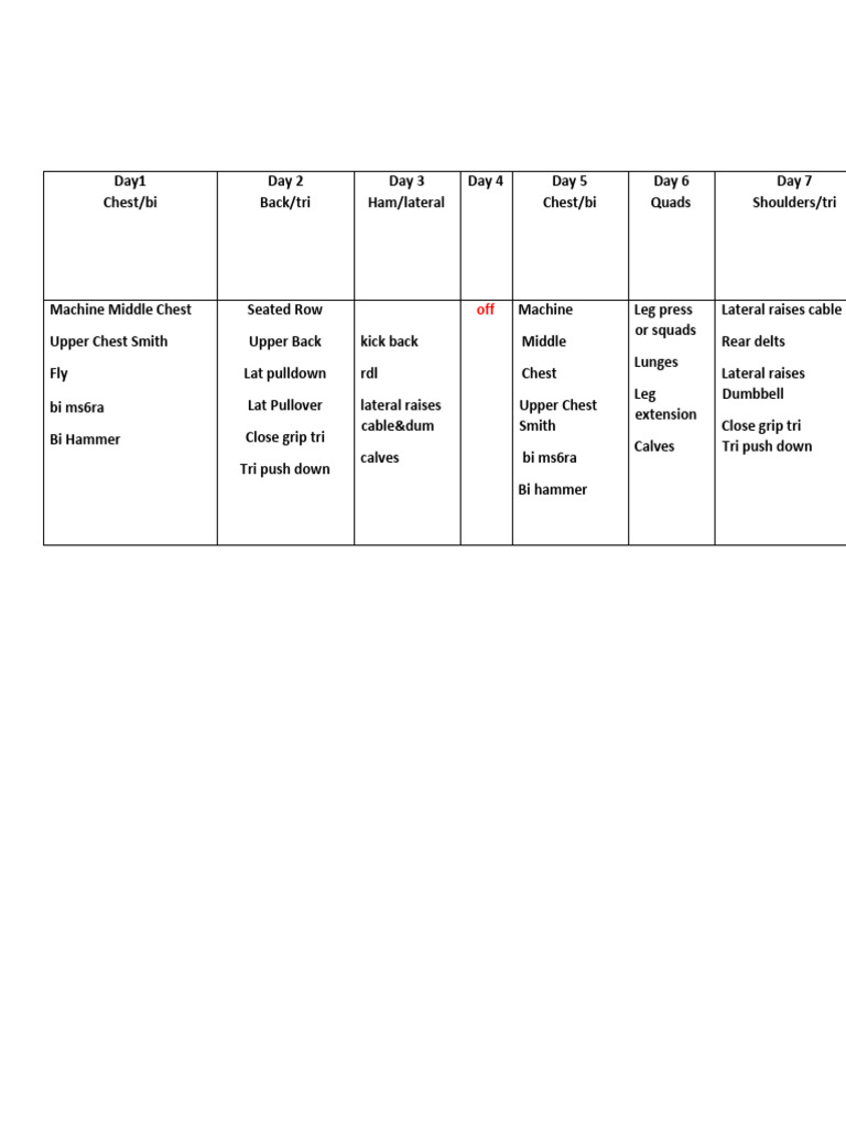 Weekly Workout Plan Overview | PDF