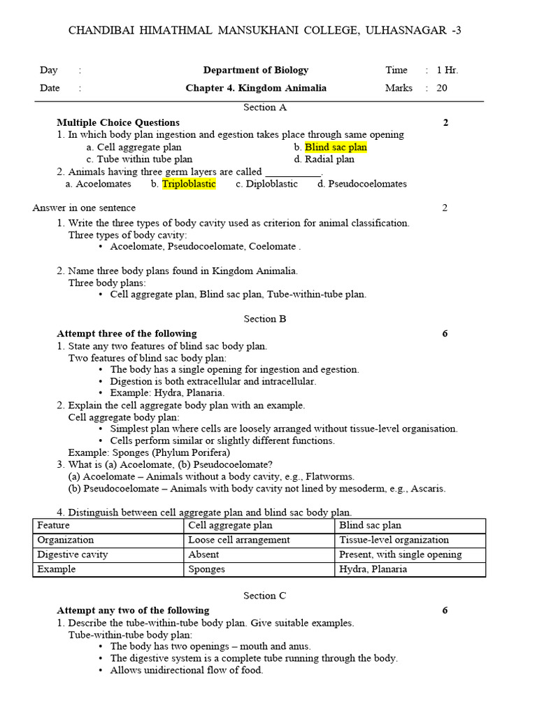 Cell Aggregate Body Plan Explained | PDF | Biology | Anatomy