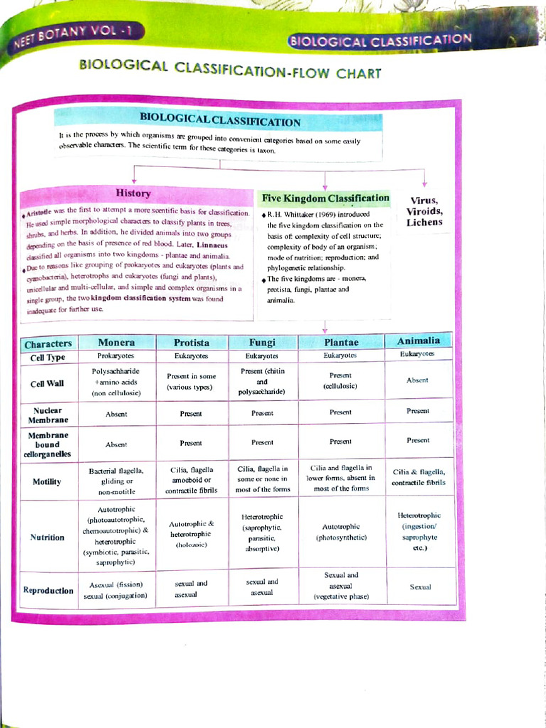 Biological Classification Overview | PDF | Eukaryotes | Microbiology