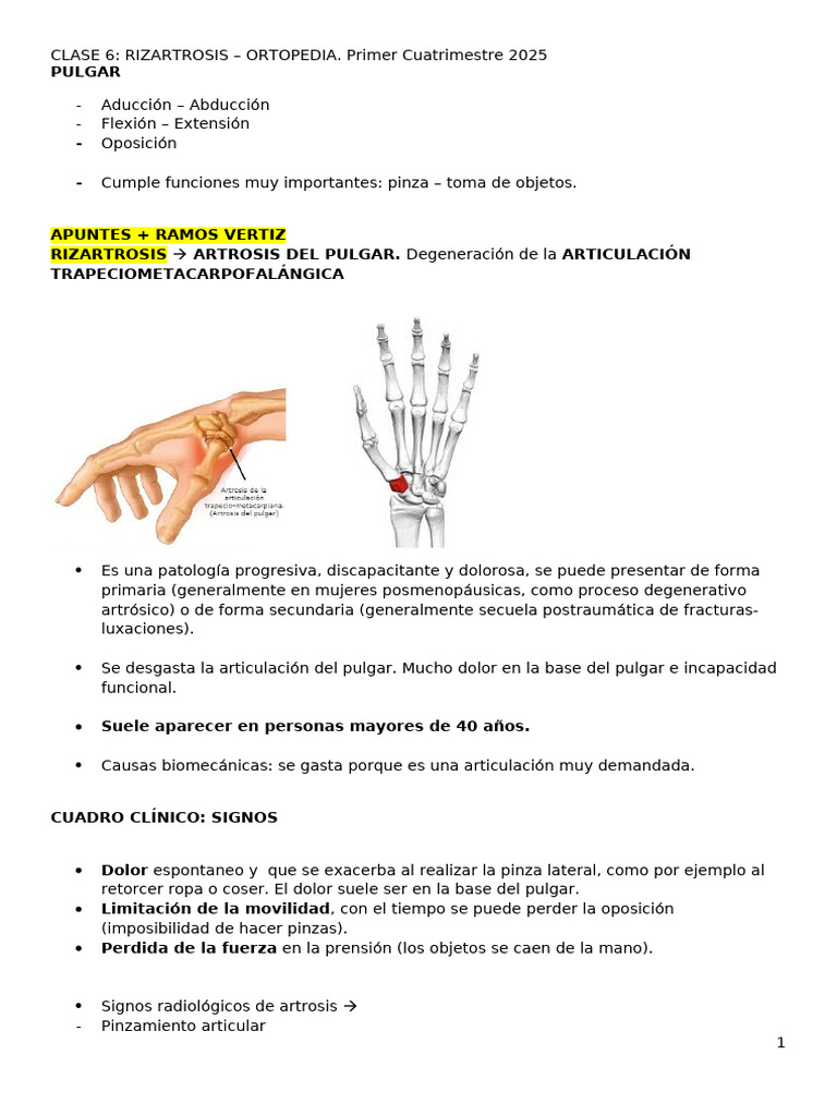 Clase 6 - Rizartrosis | PDF | Trastornos musculoesqueléticos | Sistema ...