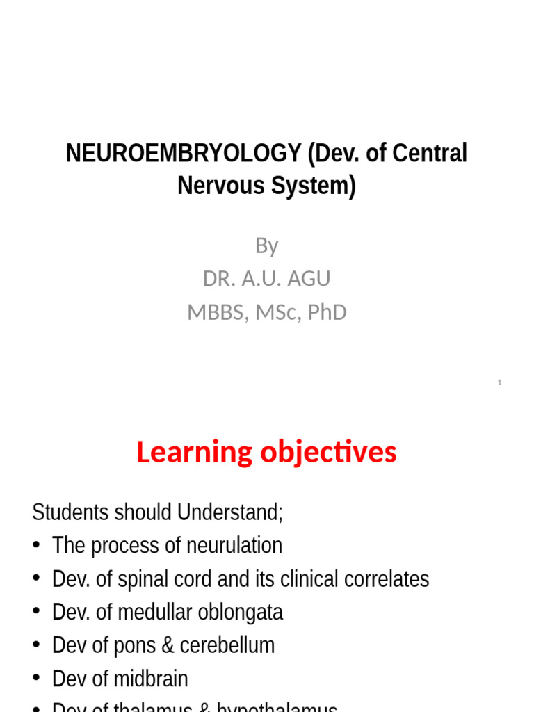 NEUROEMBRYOLOGY (Development of Central Nervous System) - 034541 | PDF ...