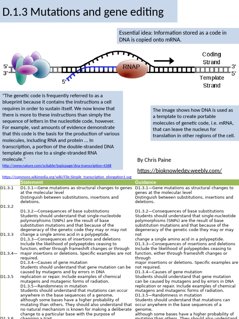 Understanding Gene Mutations and Editing | PDF | Mutation | Dna Sequencing
