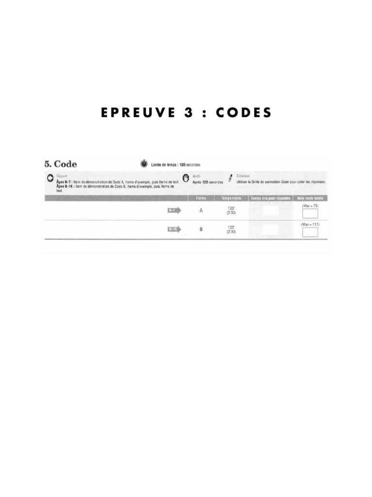 WISC V - Codes - Feuilles de Passation | PDF