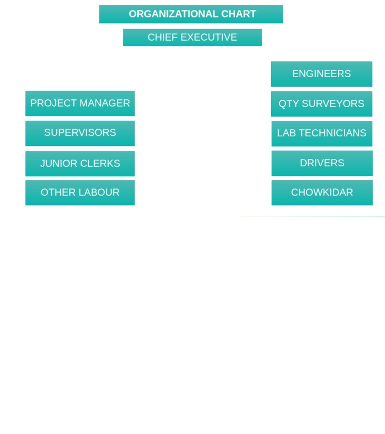 Chief Executive: Organizational Chart | PDF