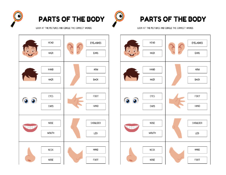 Bodyparts 3 | PDF