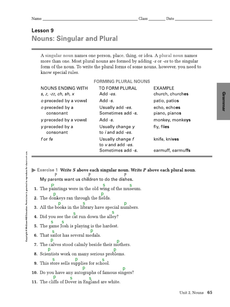 Model Answer Plural & Singular Nouns | PDF