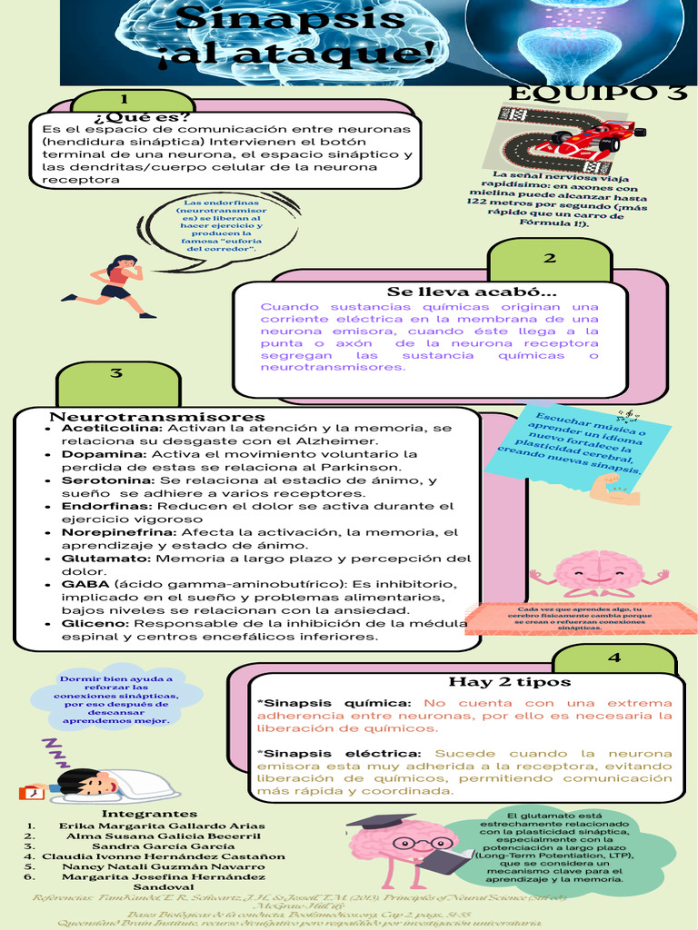 Neurotransmisores y Sinapsis Neuronal | PDF | Sinapsis | Neurona