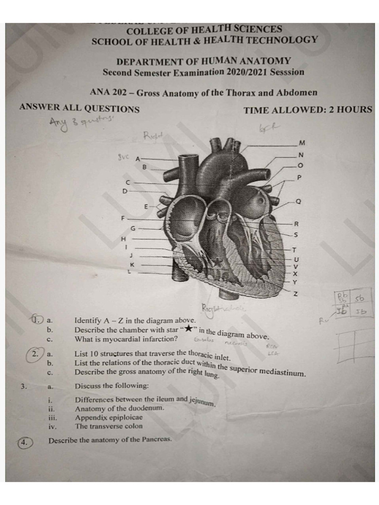Phs 200 Level 2nd Semester Past Questions by Lumi - Edited60 | PDF
