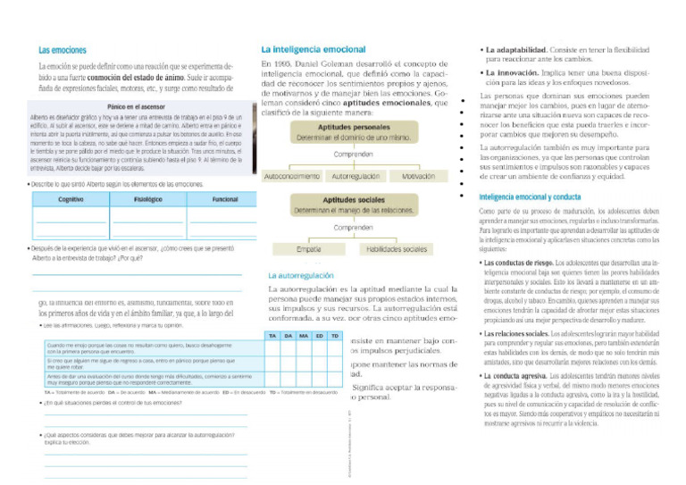 Ficha Sobre Autorregulaciòn de Emociones. | PDF