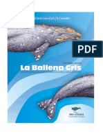 Ballena Gris