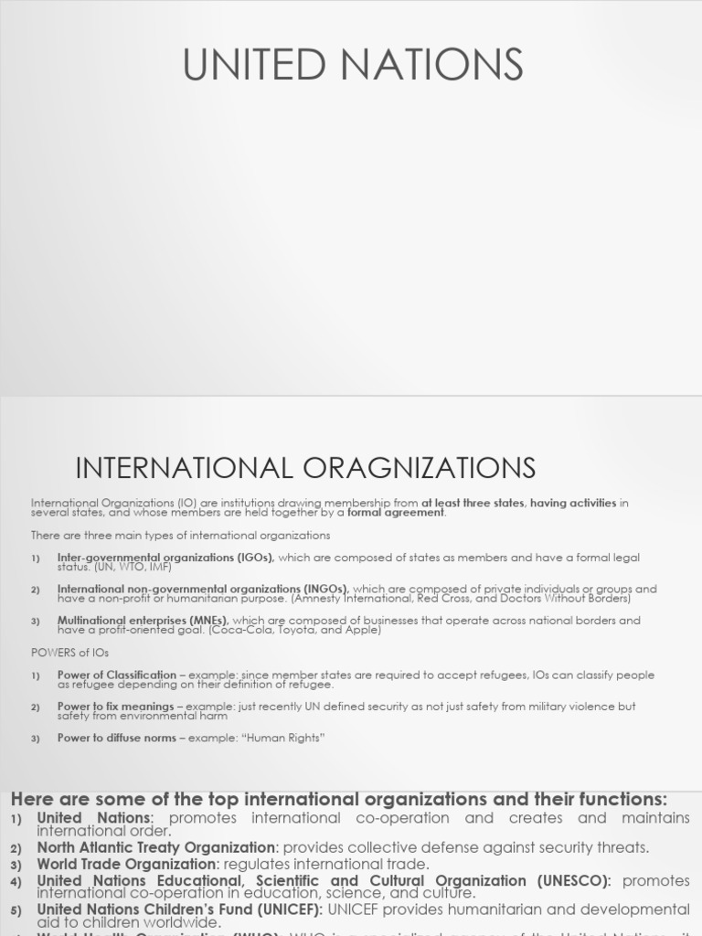 Overview of International Organizations | PDF | United Nations ...